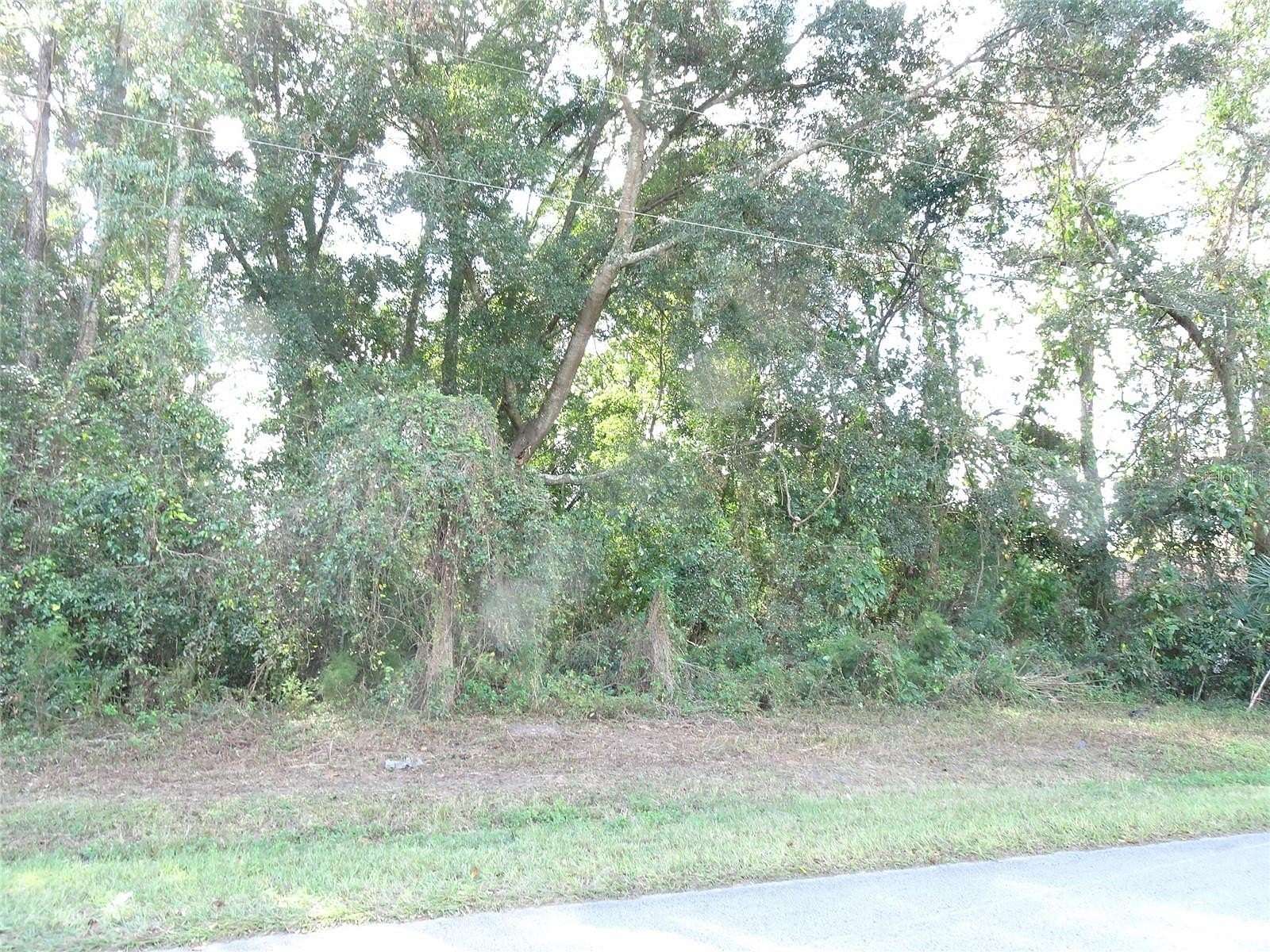 0.24 Acres of Residential Land for Sale in Ocala, Florida