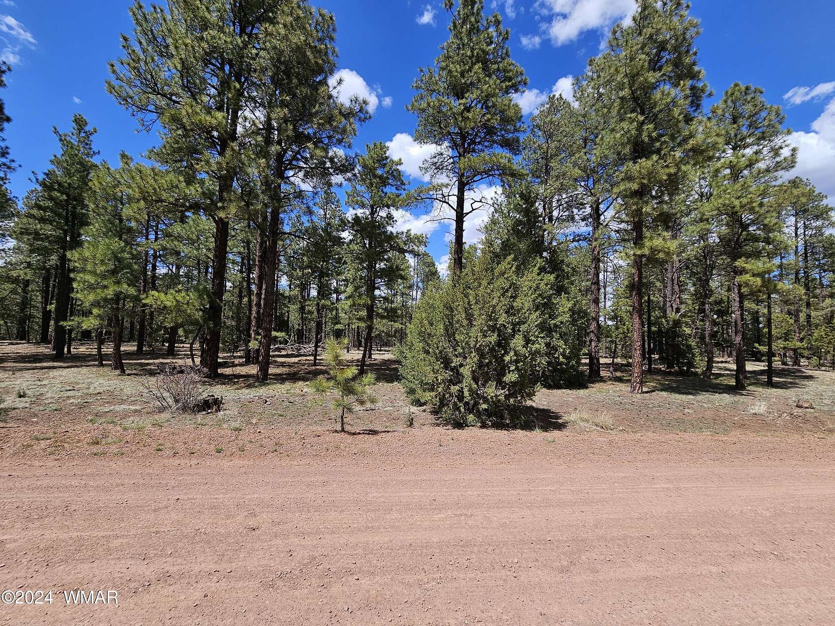 1.75 Acres of Residential Land for Sale in Nutrioso, Arizona