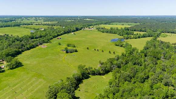 68 Acres of Agricultural Land for Sale in Troup, Texas