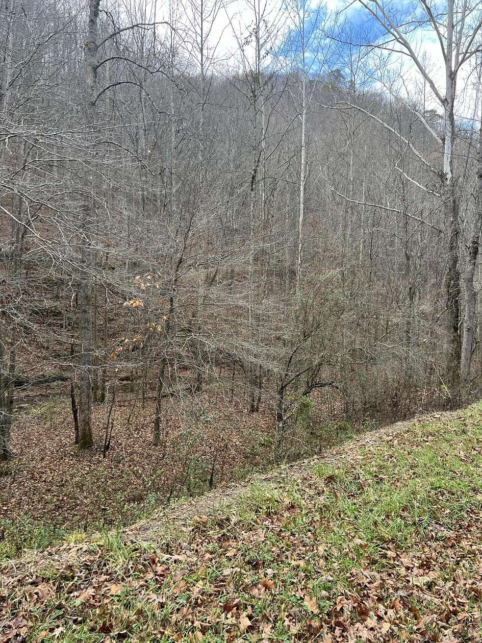 569 Acres of Recreational Land & Farm for Sale in Beverly, Kentucky