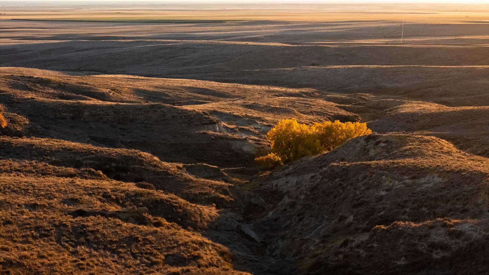 2,000 Acres of Improved Recreational Land & Farm for Sale in Orchard, Colorado