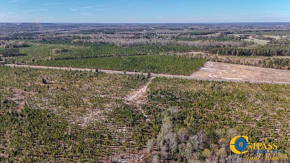 12 Acres of Recreational Land for Sale in Jefferson, South Carolina