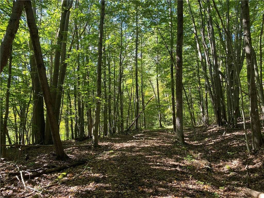 61.1 Acres of Land for Sale in Grove, New York