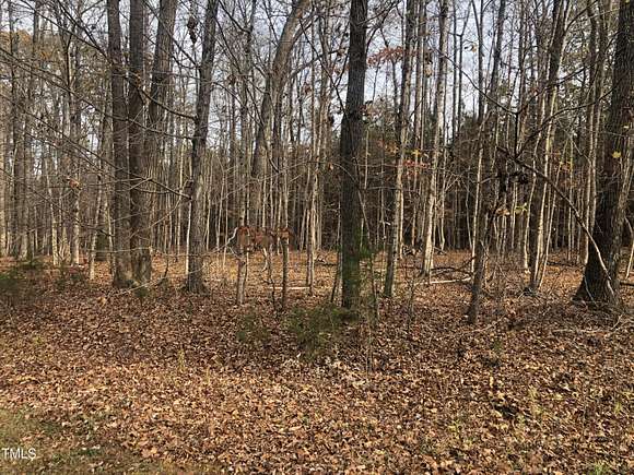 1.01 Acres of Residential Land for Sale in Timberlake, North Carolina