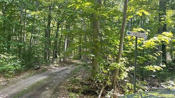 10.95 Acres of Recreational Land for Sale in Bois Blanc Township, Michigan