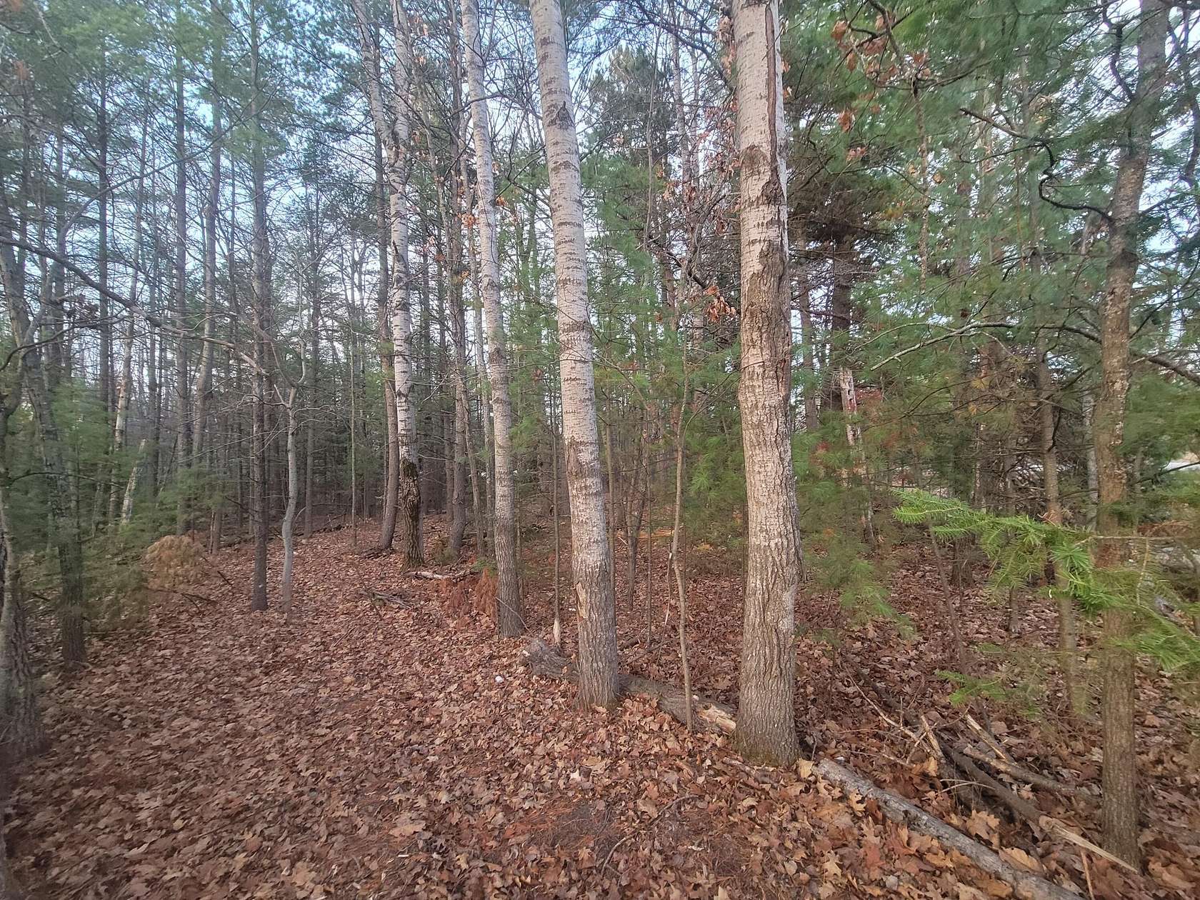 1.83 Acres of Land for Sale in Atlanta, Michigan