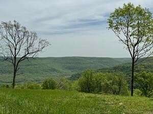 3.81 Acres of Land for Sale in Jasper, Arkansas