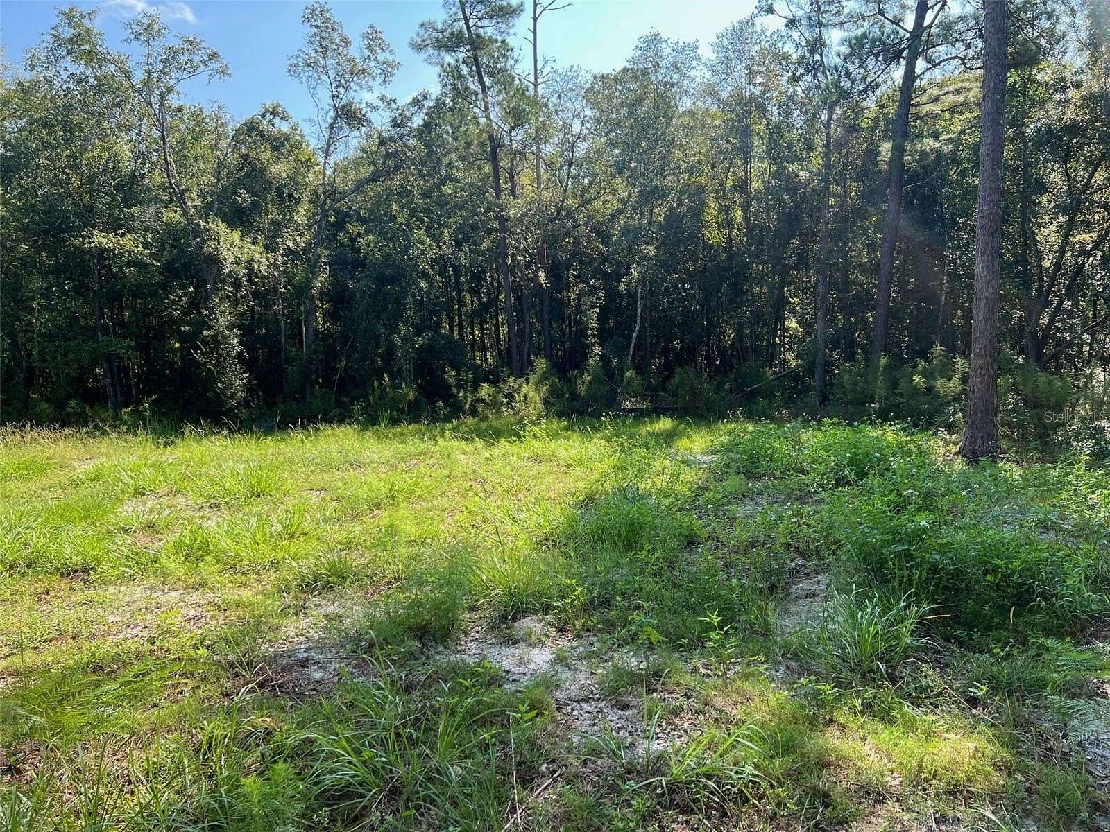 1.34 Acres of Residential Land for Sale in Middleburg, Florida