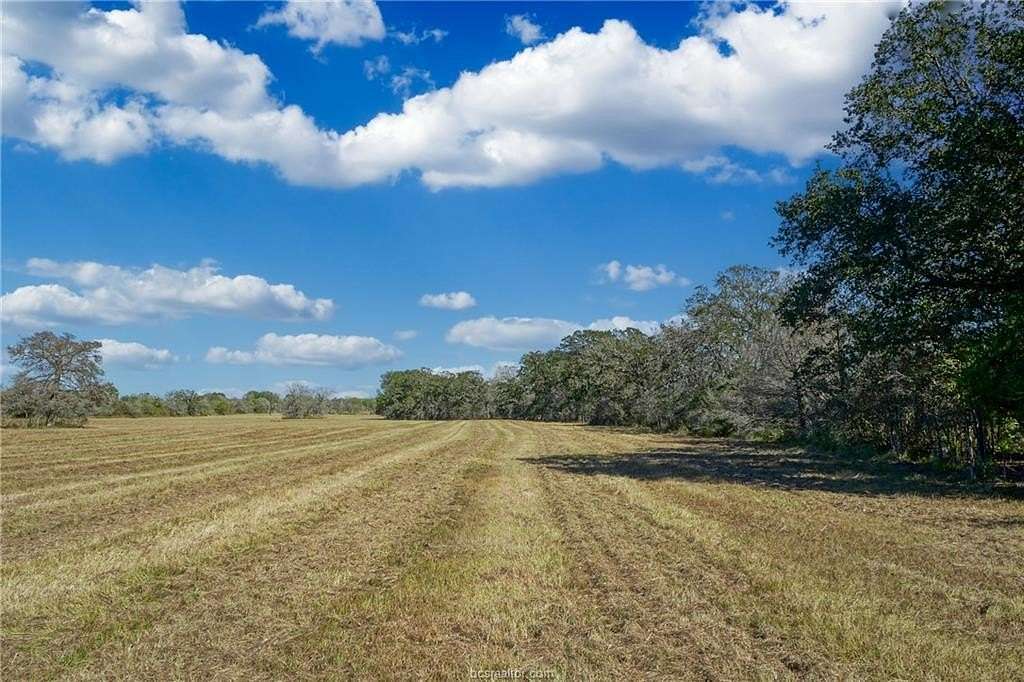 3 Acres of Residential Land for Sale in Bedias, Texas