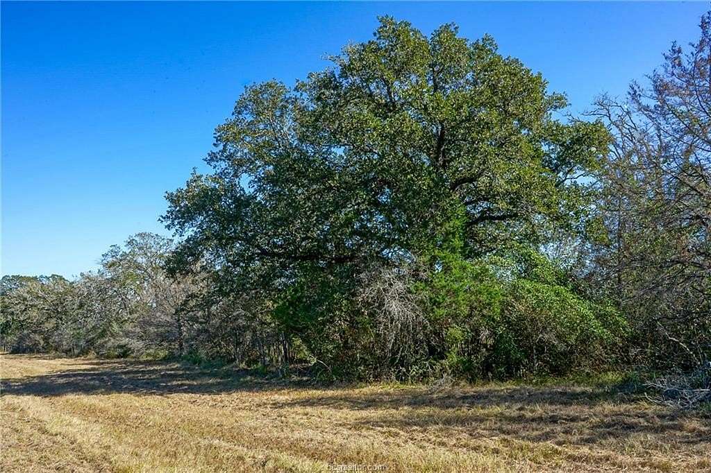 3 Acres of Residential Land for Sale in Bedias, Texas