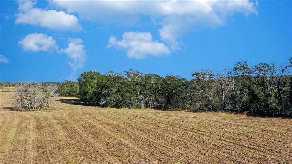 3.005 Acres of Residential Land for Sale in Bedias, Texas