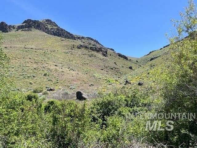 31.71 Acres of Land for Sale in Mountain Home, Idaho