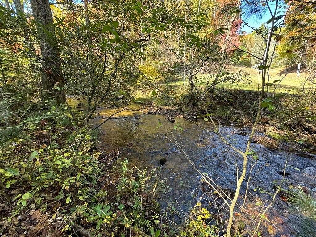 6.68 Acres of Land for Sale in Cherry Log, Georgia