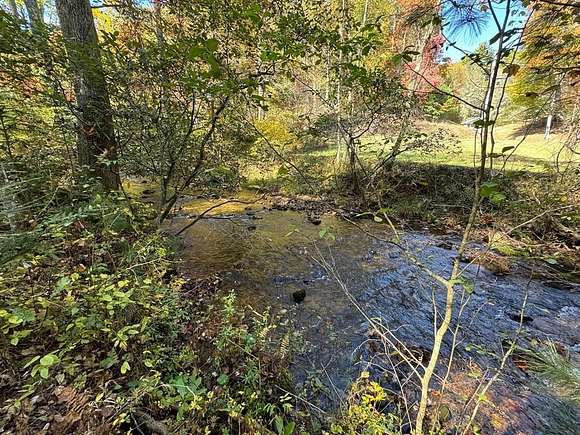 6.68 Acres of Land for Sale in Cherry Log, Georgia