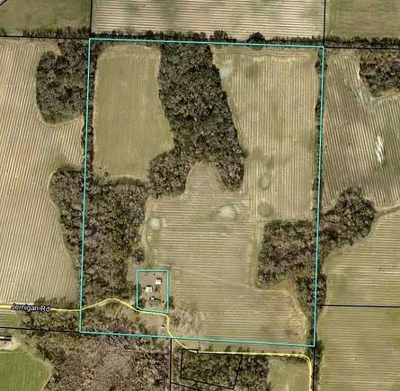 81.91 Acres of Land for Sale in Donalsonville, Georgia