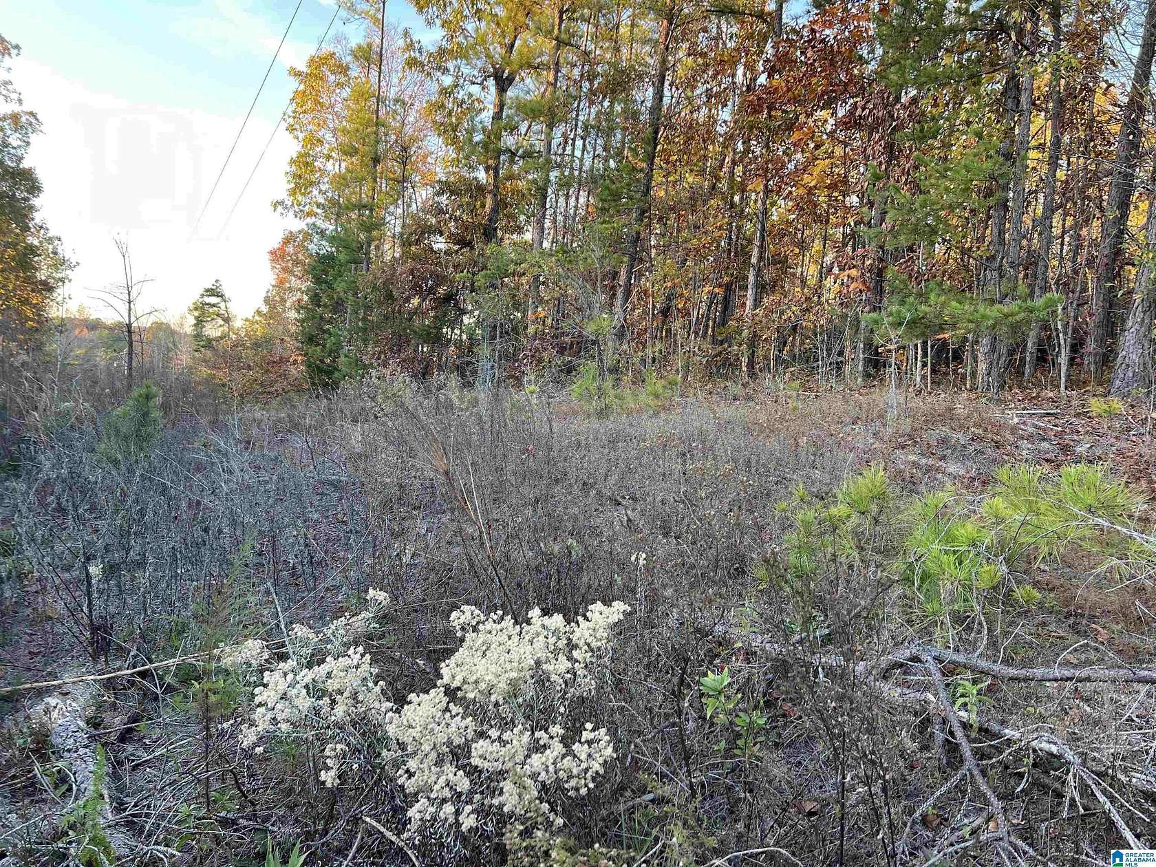 0.55 Acres of Residential Land for Sale in Piedmont, Alabama