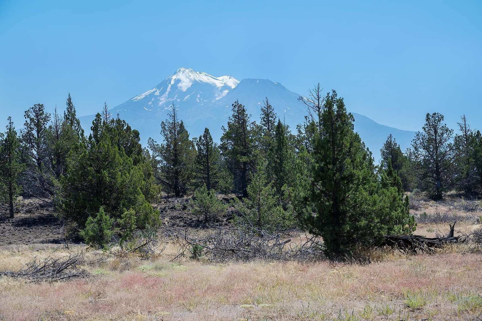 720 Acres of Agricultural Land for Sale in Montague, California