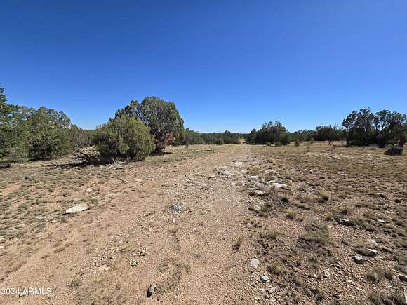 20.63 Acres of Recreational Land for Sale in Seligman, Arizona