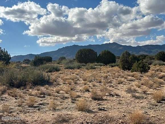 37.14 Acres of Land for Sale in Hackberry, Arizona