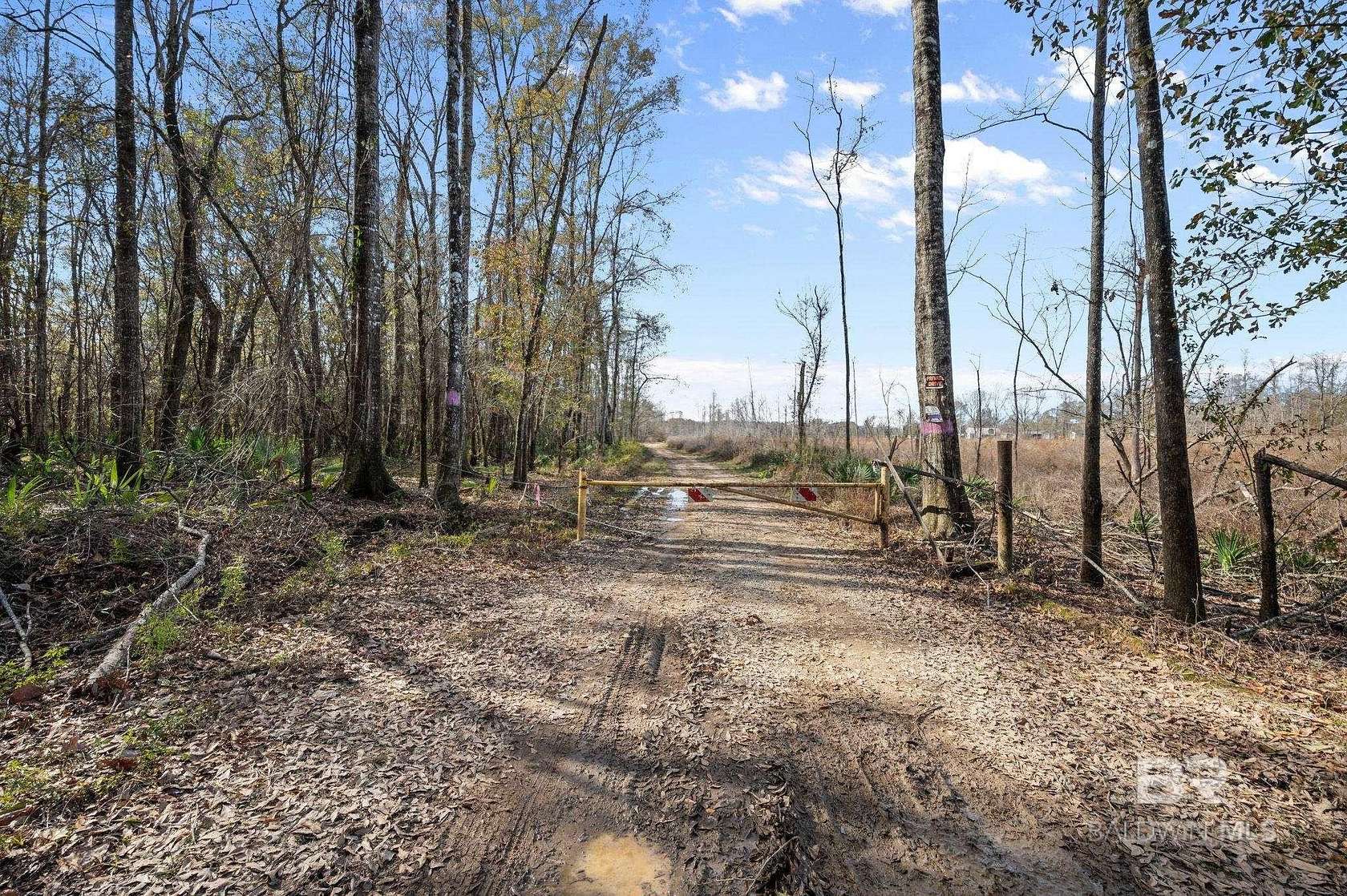 24.3 Acres of Recreational Land for Sale in Stockton, Alabama