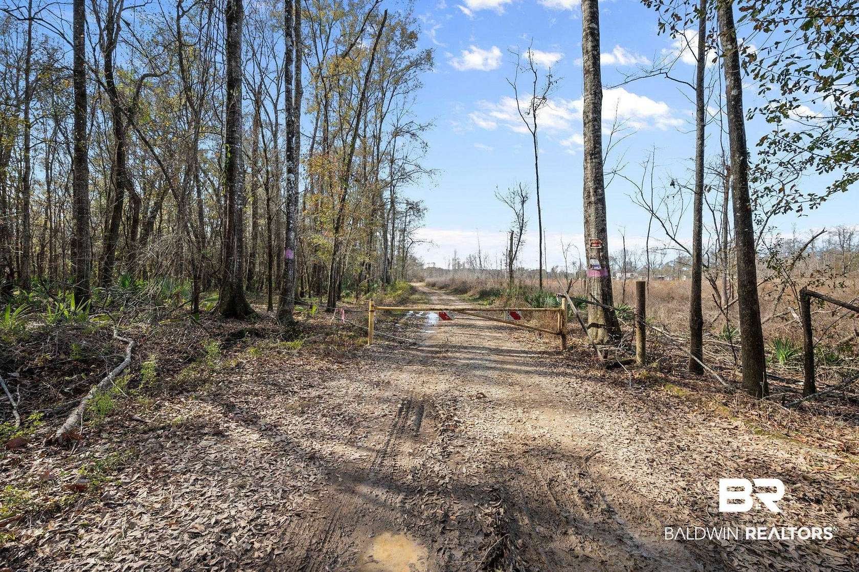 24.3 Acres of Recreational Land for Sale in Stockton, Alabama