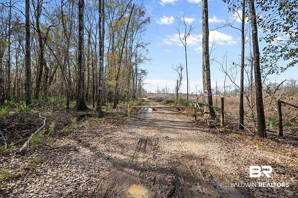 24.3 Acres of Recreational Land for Sale in Stockton, Alabama