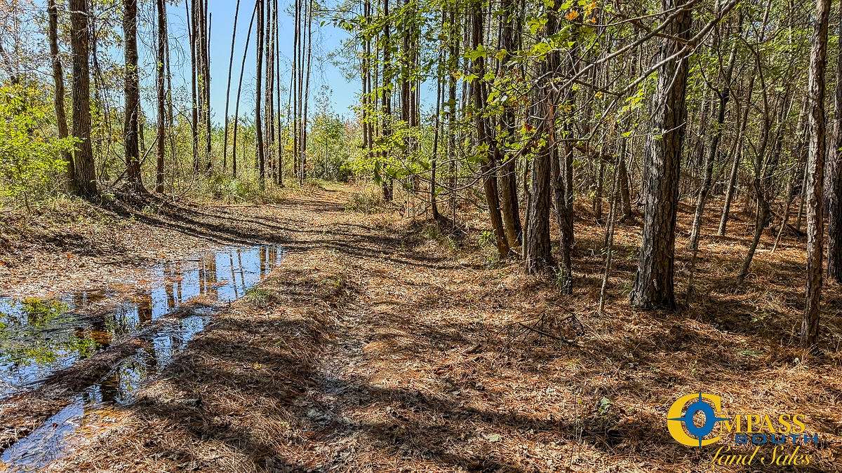 39 Acres of Recreational Land for Sale in Crossett, Arkansas