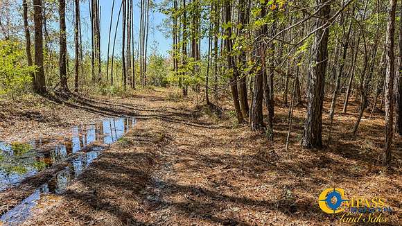 39 Acres of Recreational Land for Sale in Crossett, Arkansas