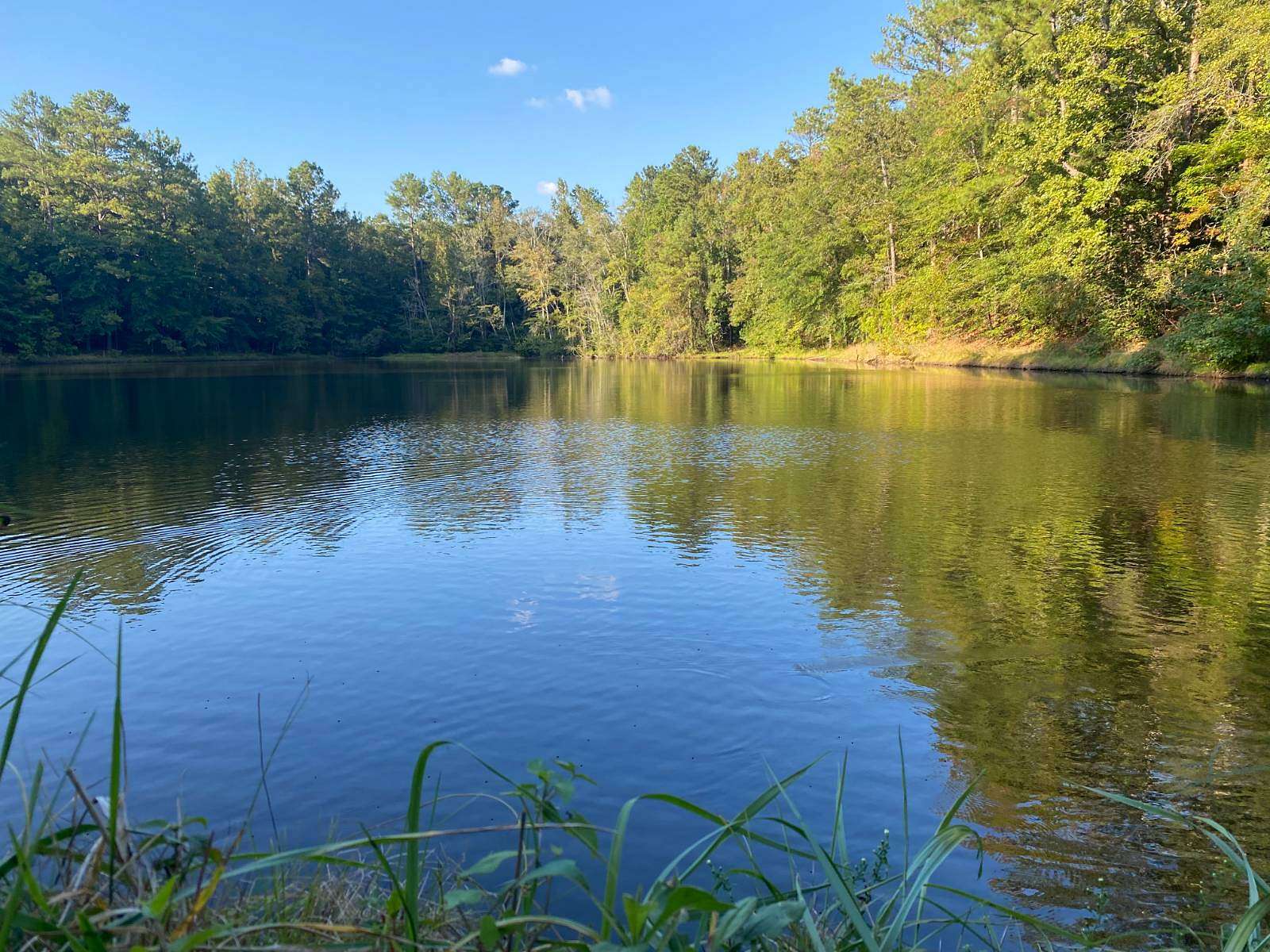 44 Acres of Recreational Land for Sale in Tallassee, Alabama