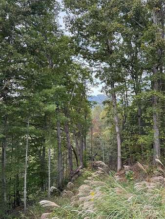 1.54 Acres of Residential Land for Sale in Marshall, North Carolina
