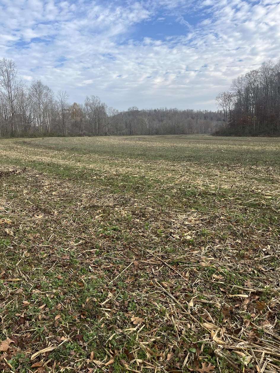 79.43 Acres of Land for Sale in Liberty, Kentucky