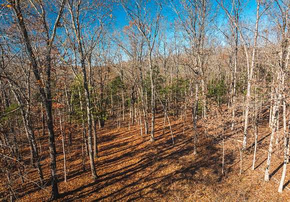 19.51 Acres of Recreational Land for Sale in Dittmer, Missouri