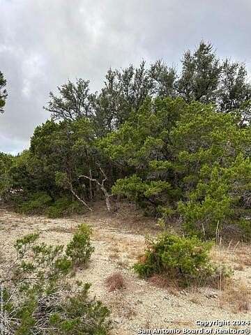 0.5 Acres of Residential Land for Sale in Canyon Lake, Texas