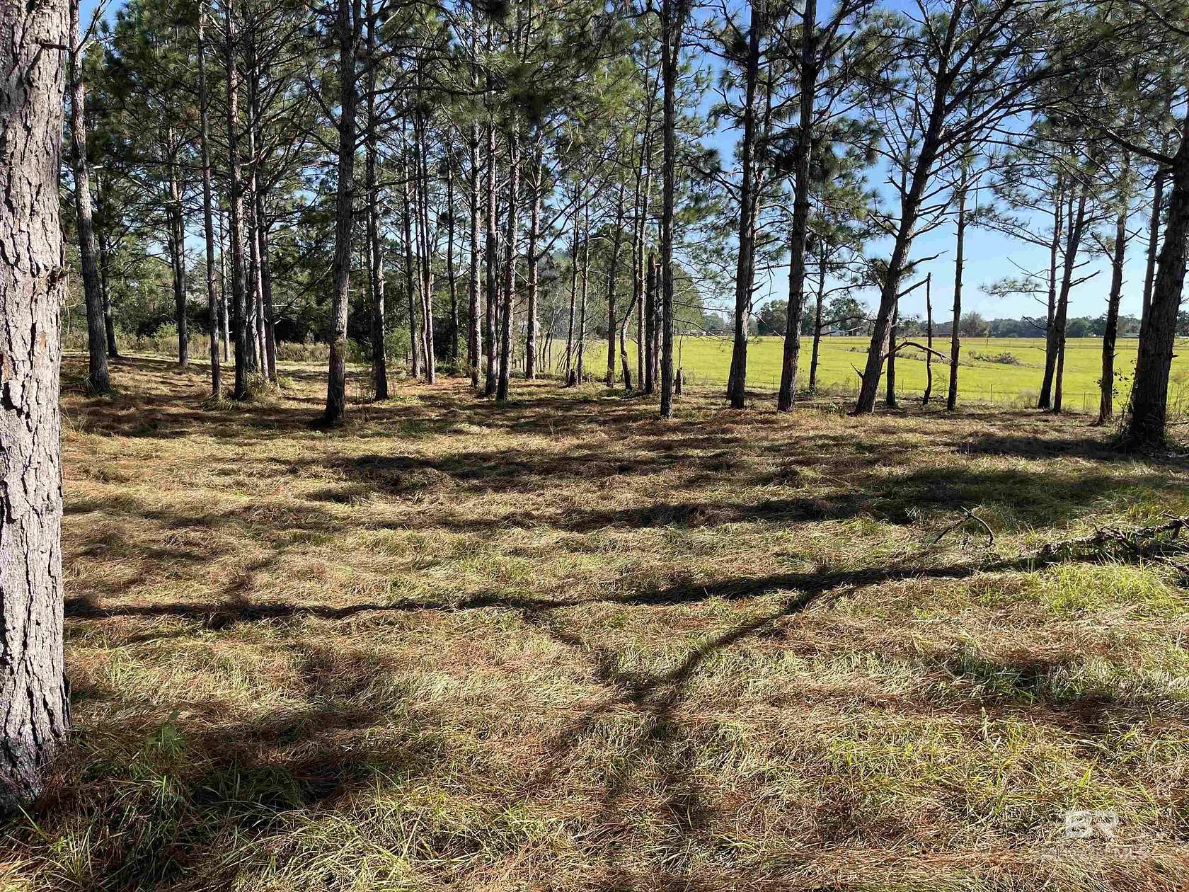 7.53 Acres of Residential Land for Sale in Loxley, Alabama