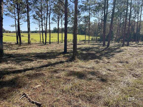 7.53 Acres of Residential Land for Sale in Loxley, Alabama