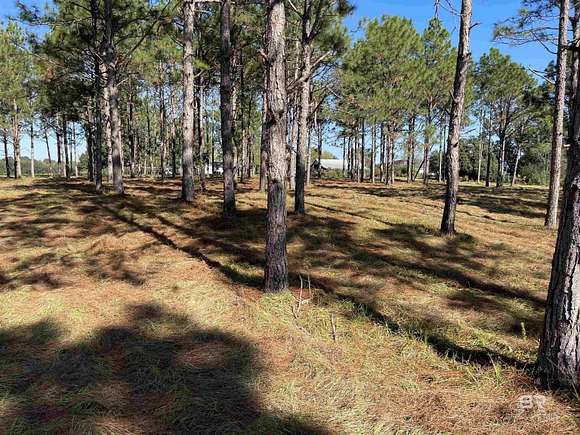 7.53 Acres of Residential Land for Sale in Loxley, Alabama