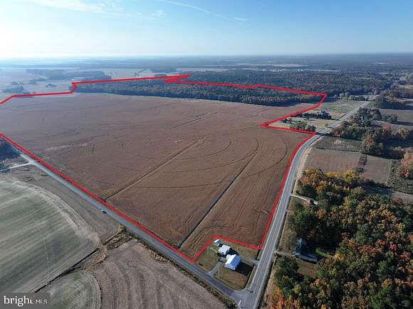 349.43 Acres of Agricultural Land for Sale in Federalsburg, Maryland