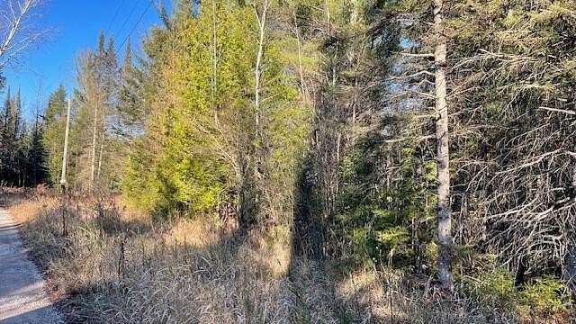 11.19 Acres of Land for Sale in Millersburg, Michigan