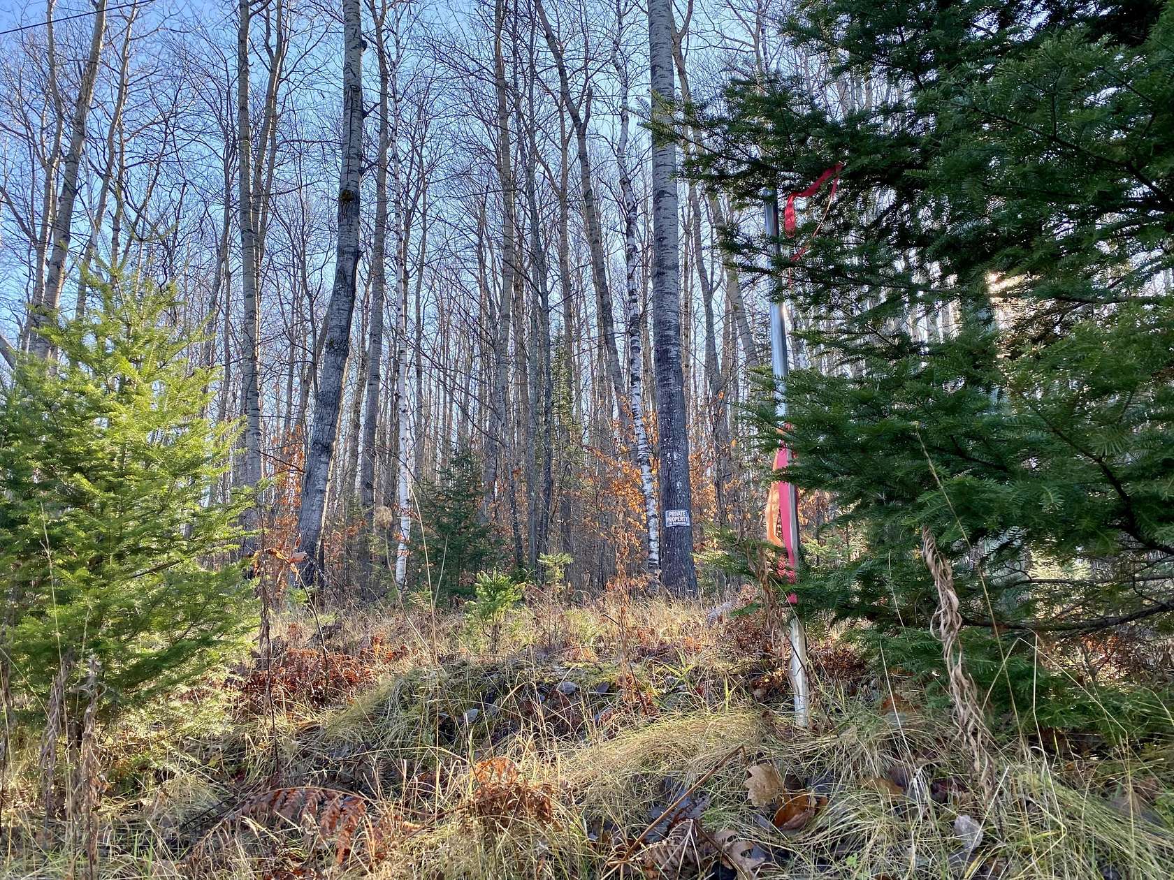 Land for Sale in Wolverine, Michigan