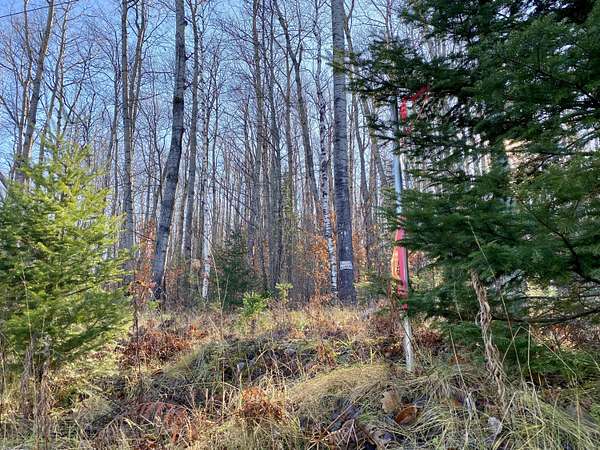 Land for Sale in Wolverine, Michigan