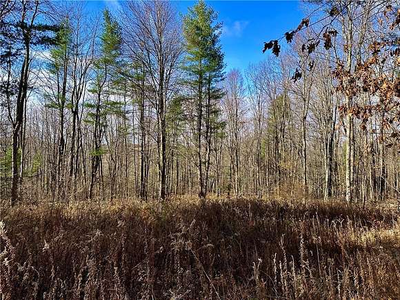 30.87 Acres of Recreational Land for Sale in Candor, New York