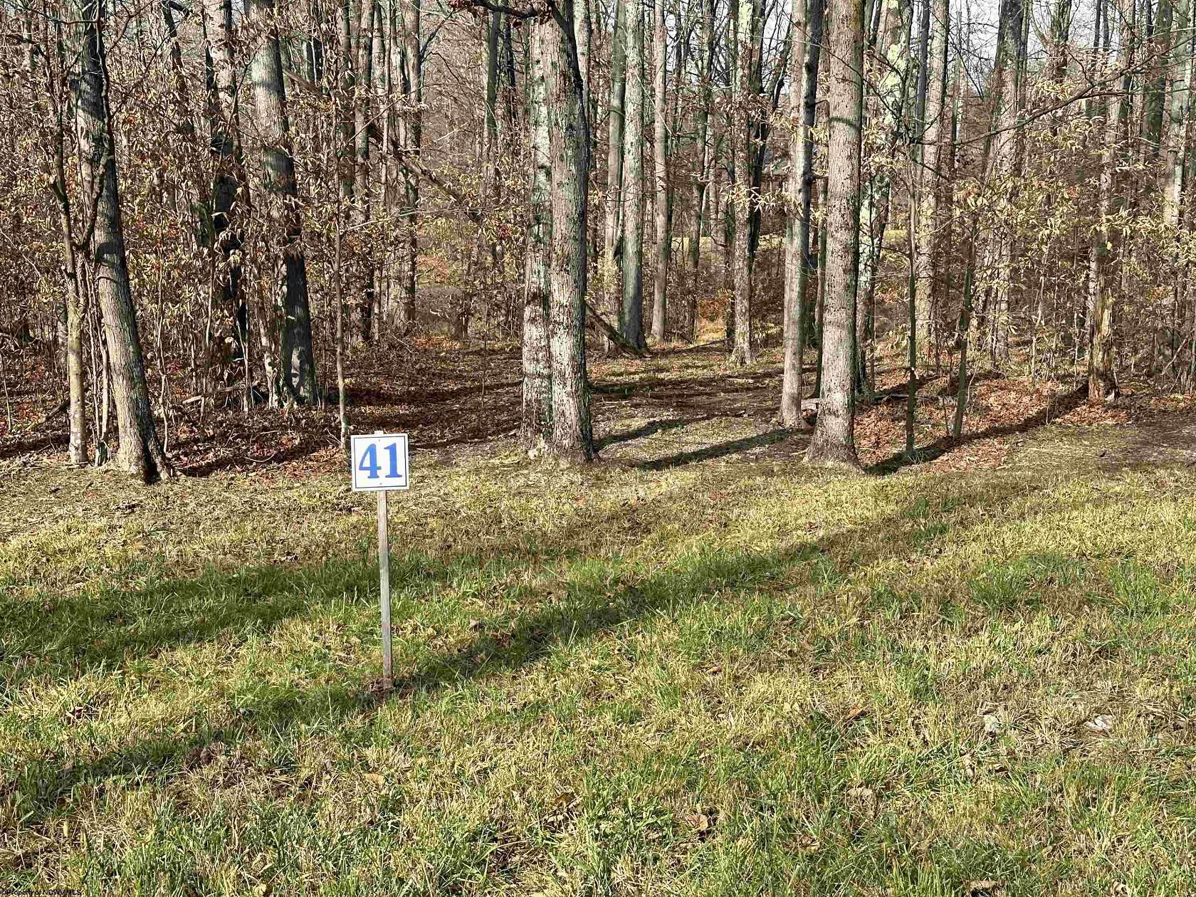 0.34 Acres of Residential Land for Sale in Davis, West Virginia