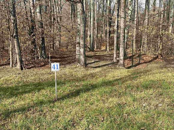 0.34 Acres of Residential Land for Sale in Davis, West Virginia