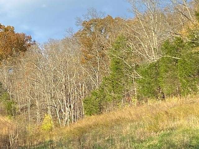 29.324 Acres of Recreational Land for Sale in Foster, Kentucky