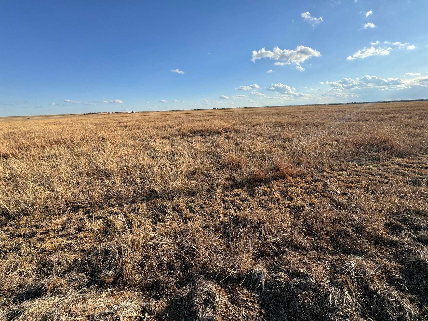 20 Acres of Agricultural Land for Sale in Canyon, Texas