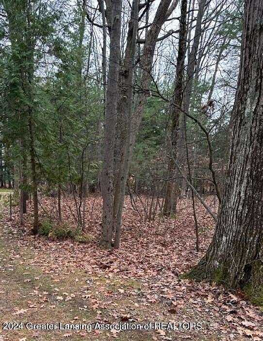 0.5 Acres of Residential Land for Sale in Au Gres, Michigan