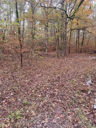 2.31 Acres of Residential Land for Sale in Fountain Lake, Arkansas