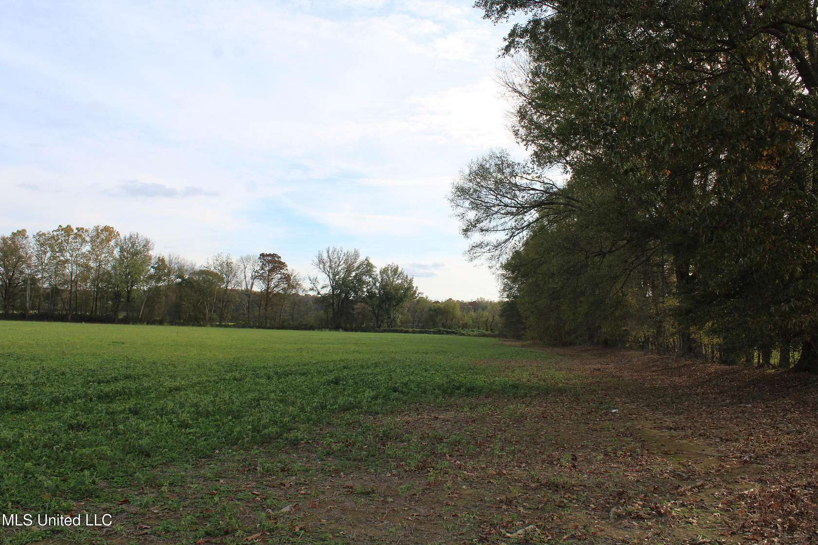 37.58 Acres of Agricultural Land for Sale in Byhalia, Mississippi