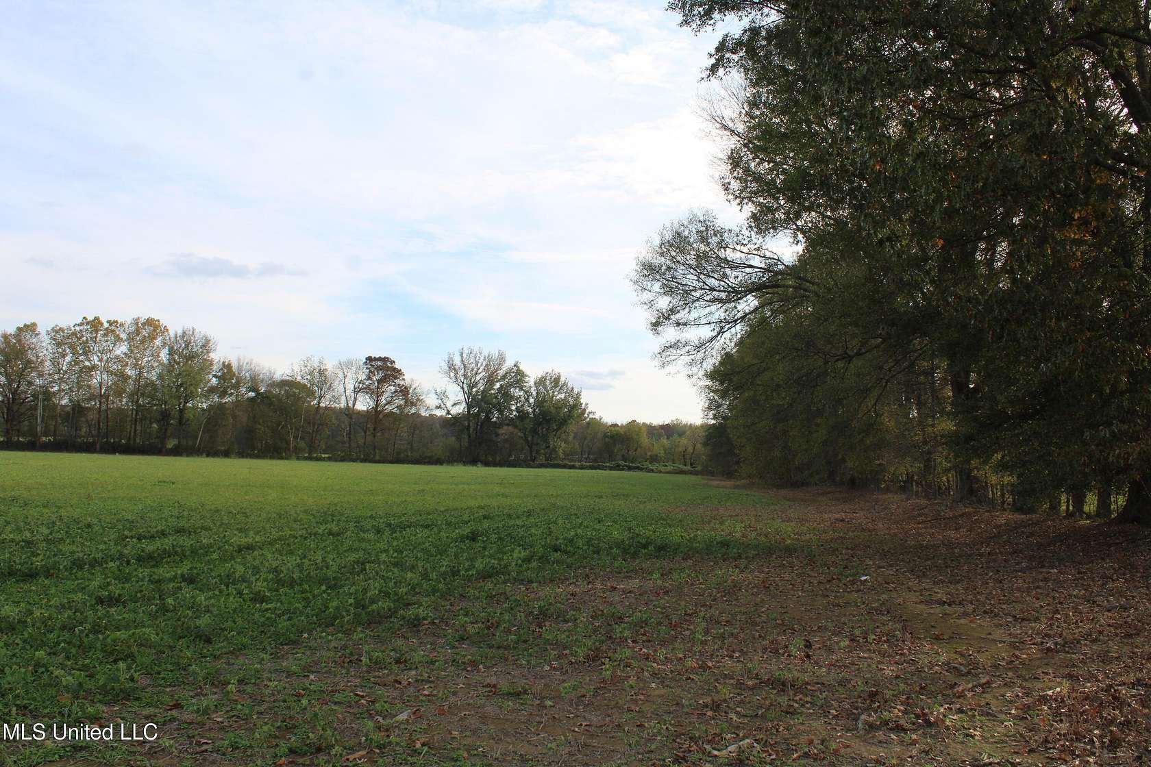 37.6 Acres of Agricultural Land for Sale in Byhalia, Mississippi