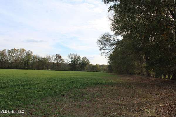 37.6 Acres of Agricultural Land for Sale in Byhalia, Mississippi